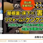 株式会社ケンケンの口コミ評判